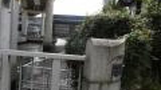 ちらっと隅田川も見ることができました