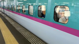 大好き　はやぶさ 