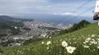 車で手軽に行けます