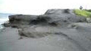 貝殻拾いを楽しむ!