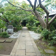 山門の奥は、長い参道が続いていて、鬱蒼とした雰囲気があります