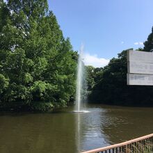 小さな池の噴水