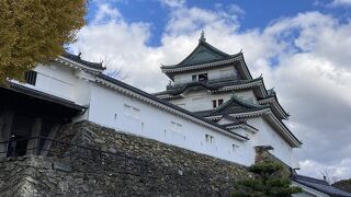 イチョウが綺麗でした