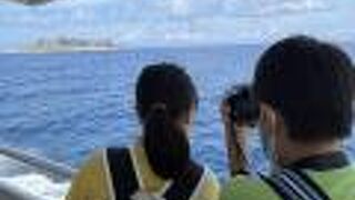 大興奮の軍艦島クルーズ