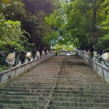 愛宕神社　出世の石段