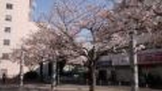 駒込駅の真ん前