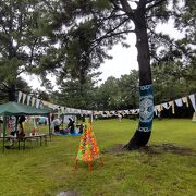 金沢文庫芸術祭 オープニングフェスティバルin海の公園