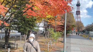 紅葉とテレビ塔のコラボが最高