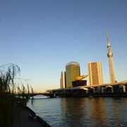 浅草の繁華街を通る