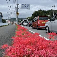 期間中は周辺道路、大渋滞です。