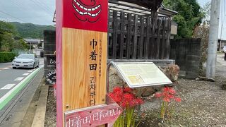 高麗駅より徒歩15分の巾着田です。