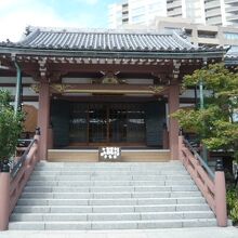 妙圓寺の本堂です。本堂前の石階段が、長く高いので気になります