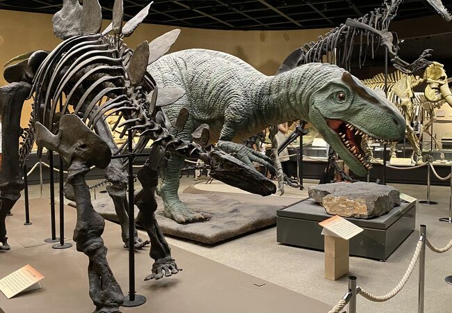 栃木県立博物館 クチコミ アクセス 営業時間 宇都宮 フォートラベル