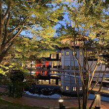 美しさにうっとり。