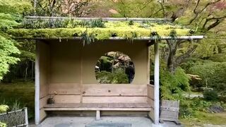 瑞巌寺のすぐ隣で紅葉が美しい。