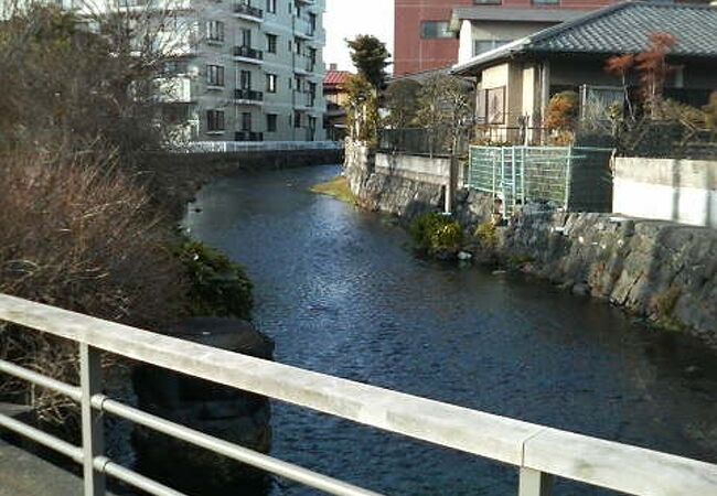 地味ですが流れる水は綺麗で一級河川らしいです