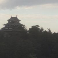 部屋から松江城が見える。