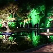 色が変わるところがいい。