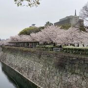 花見の名所です