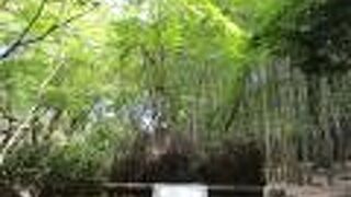 数か所に分散してあります