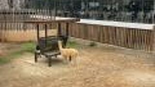 新竹市立動物園