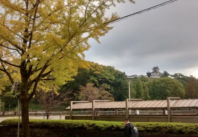 高知城の西側に広がる広大な公園