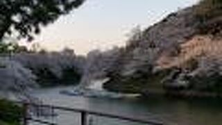 新型コロナウイルス蔓延中で、ボートも休業していた