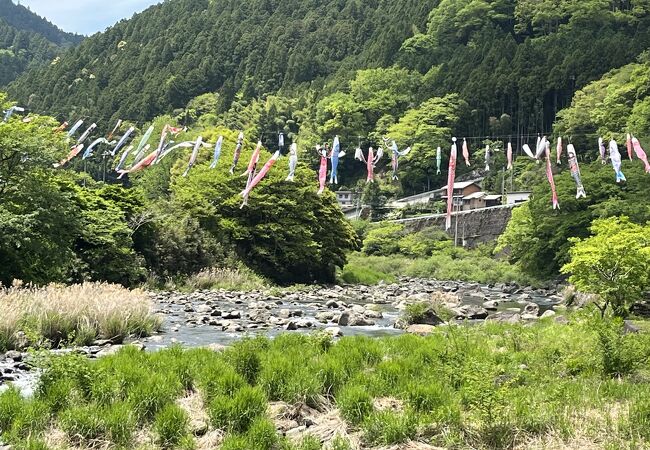 いろどり 上勝町視察