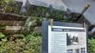 尾山神社を百万石通り方面に歩くと、出現