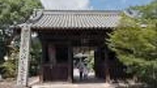 大きなクスノキが枝を広げる境内