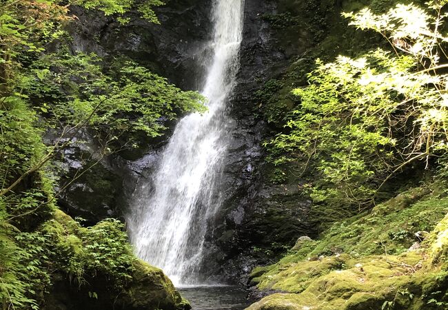 野鹿の滝