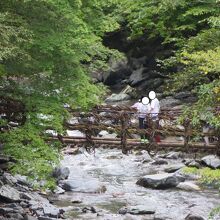 上流側のかずら橋を見る。