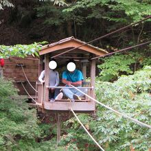 野猿の体験もできます。