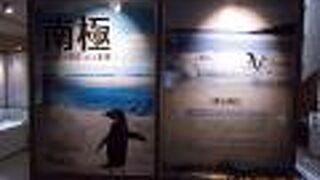 南極観測について学べる