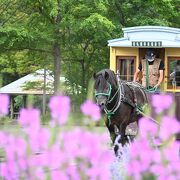 お馬はみんな、ぱっぱか走らない、 北海道開拓の村「馬車鉄道」