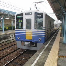 本数は思ったよりあった