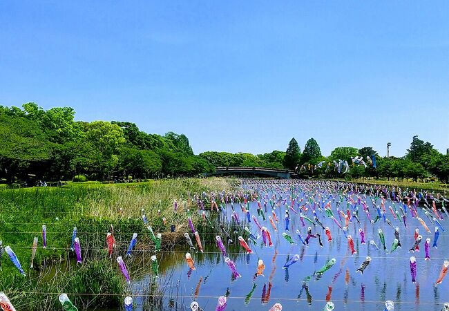 つつじが岡公園とセットで