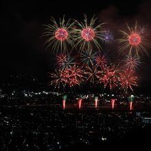 少し遠方から撮ってみました