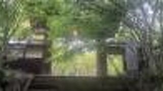 寺めぐり遊歩道