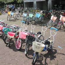 土日は貸し自転車もあります