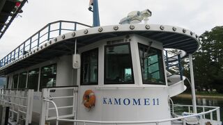 天橋立の自然を楽しめる遊覧船