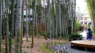 お散歩にはうってつけ