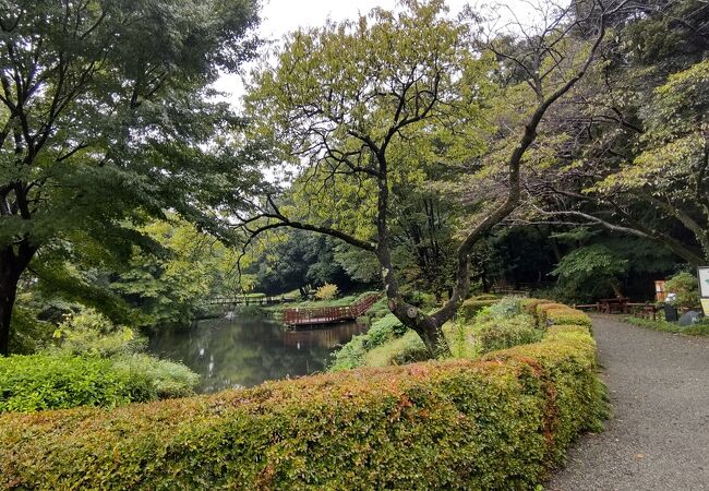 道保川公園