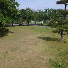 寅さん記念館の上は芝生の広場になっています。