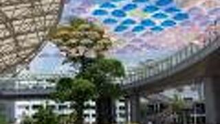 カリアンブレラ　見ごたえあり