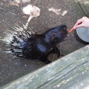 渋川動物公園にいってきました