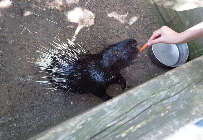 渋川動物公園にいってきました