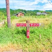 石上神宮、西山古墳、西乗鞍古墳、竹之内環濠集落、ノムギ古墳などに立ち寄りました