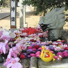 生花が溢れんばかりの『花手水』