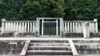 えっ、小さくない？